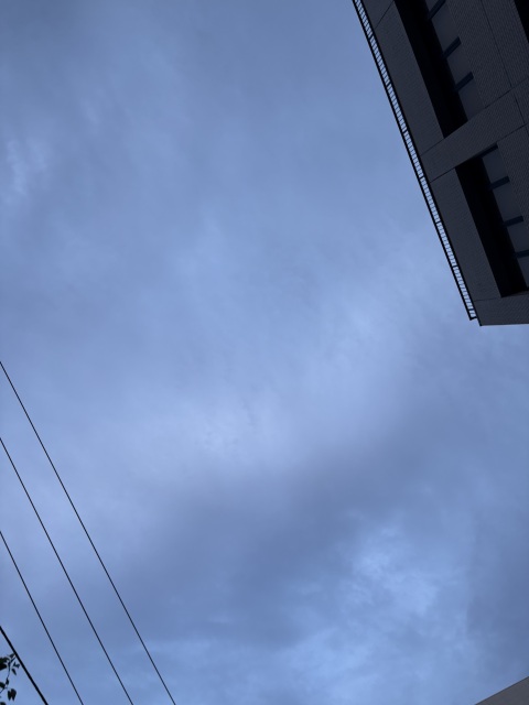 写メ