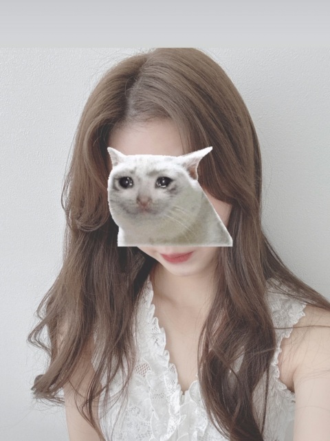 写メ