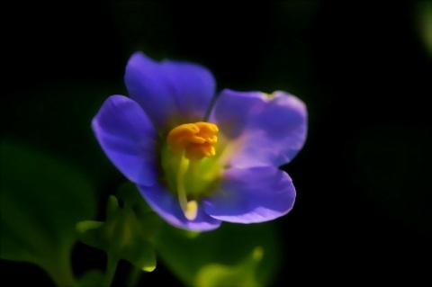 写メ