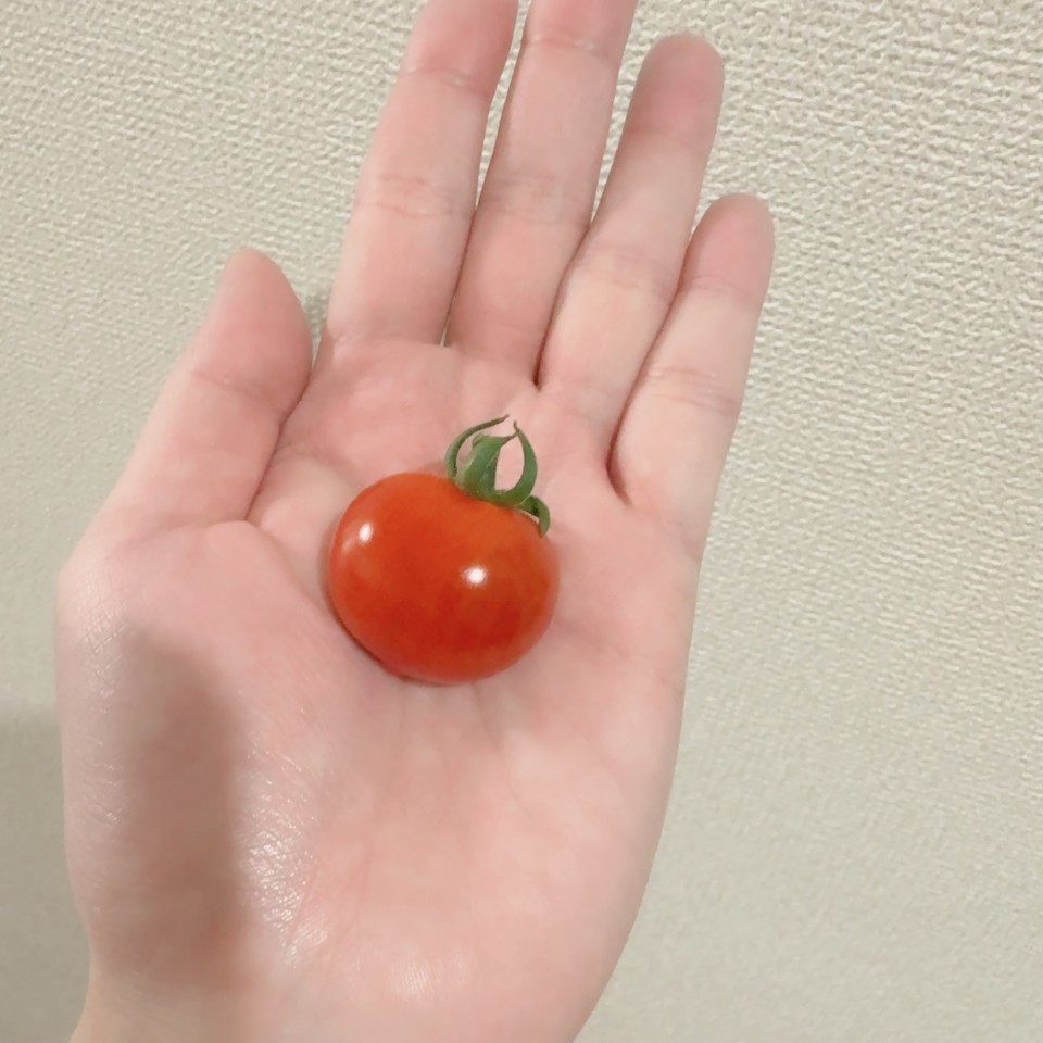 アップロード画像
