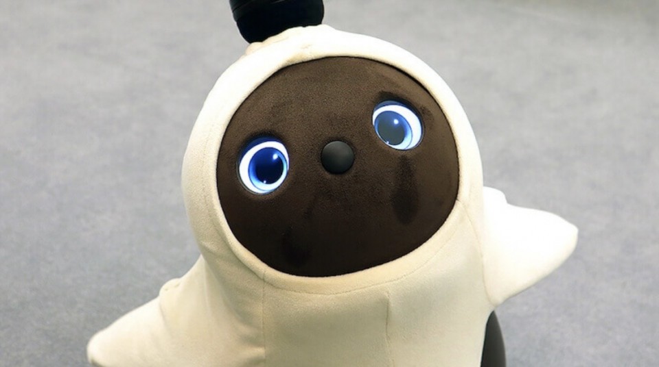 アップロード画像