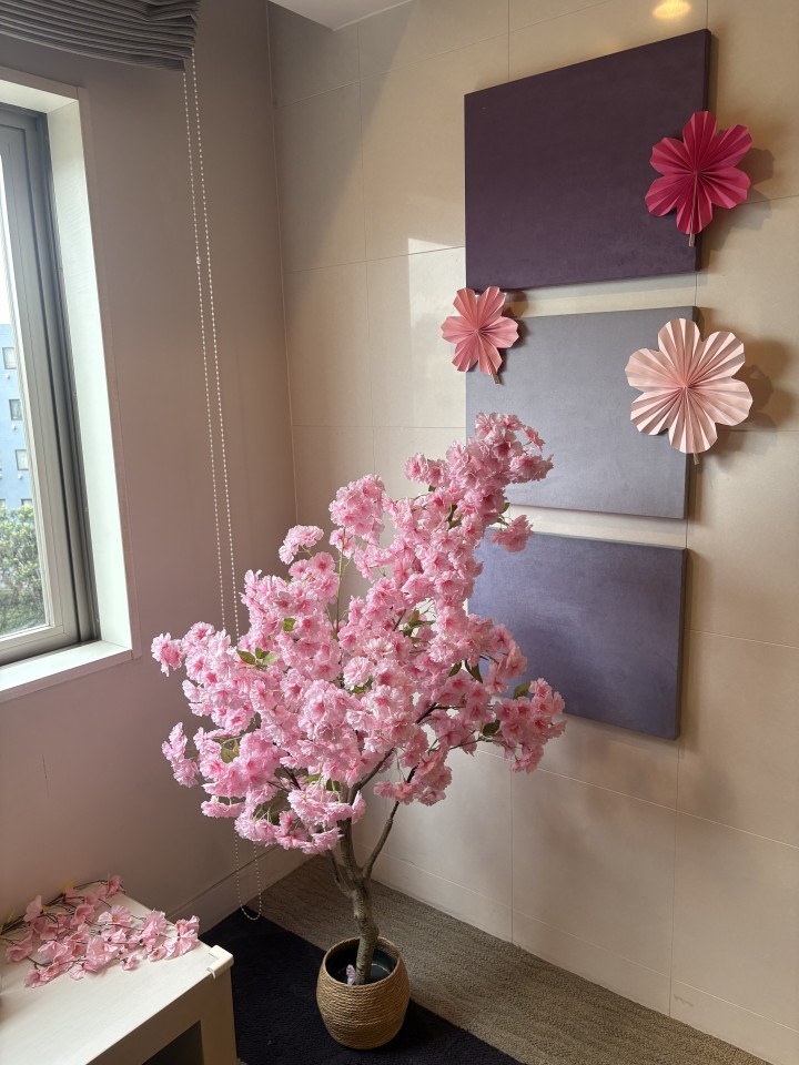 アップロード画像