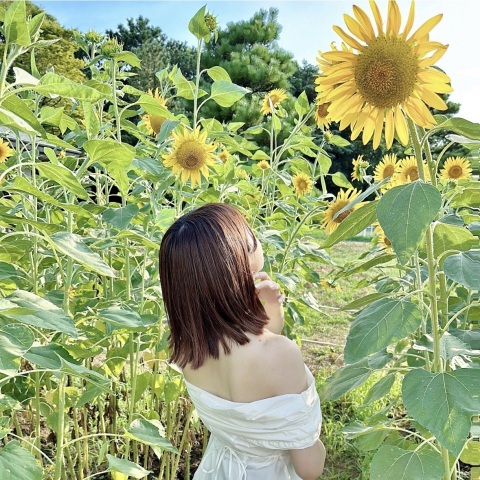写メ