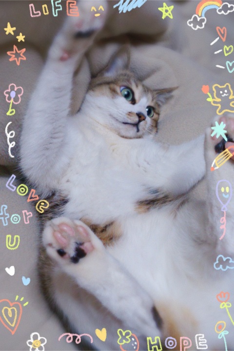 写メ