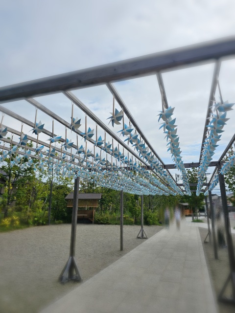 写メ