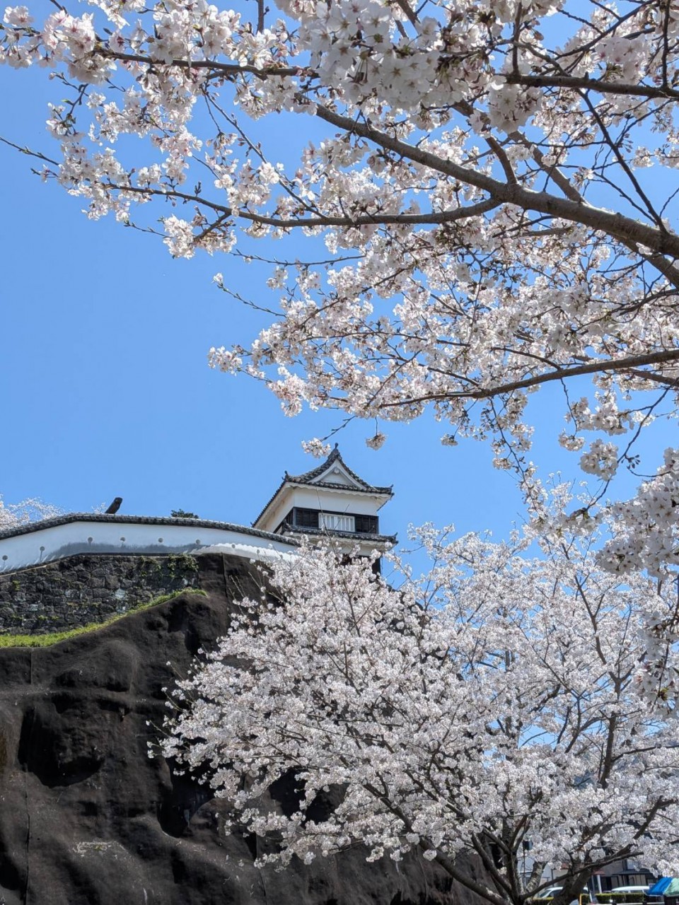 アップロード画像