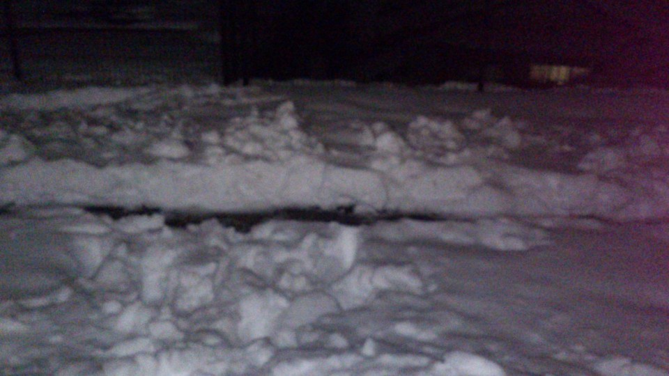 アップロード画像