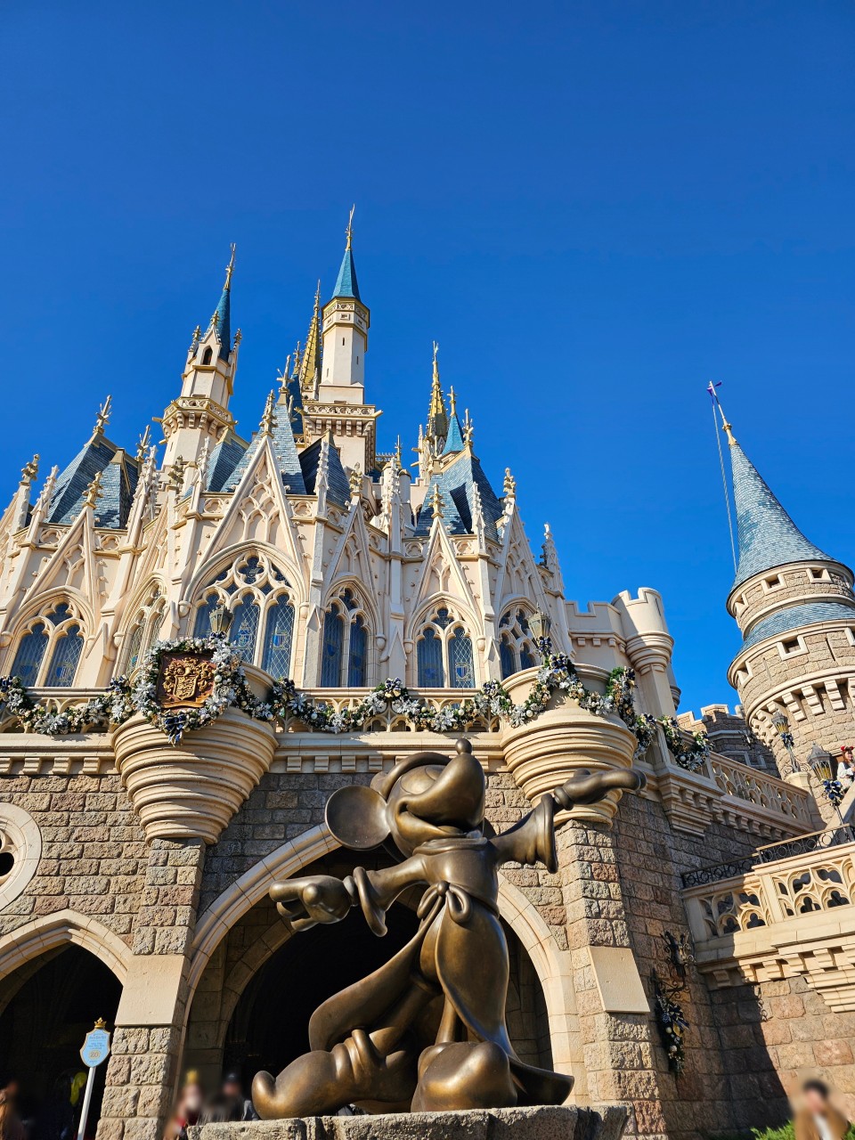 アップロード画像