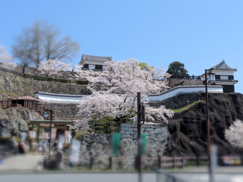 アップロード画像