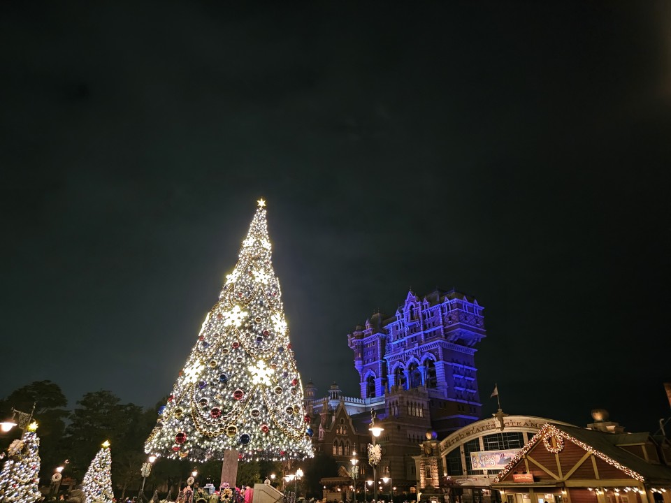 アップロード画像