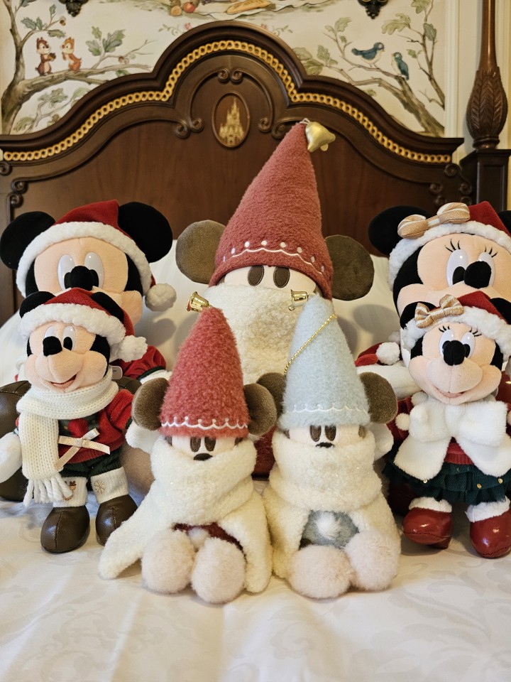 アップロード画像