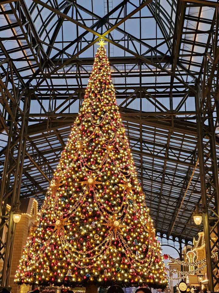 アップロード画像