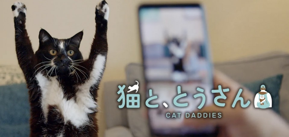 アップロード画像