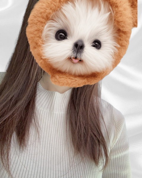写メ