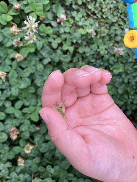 写メ
