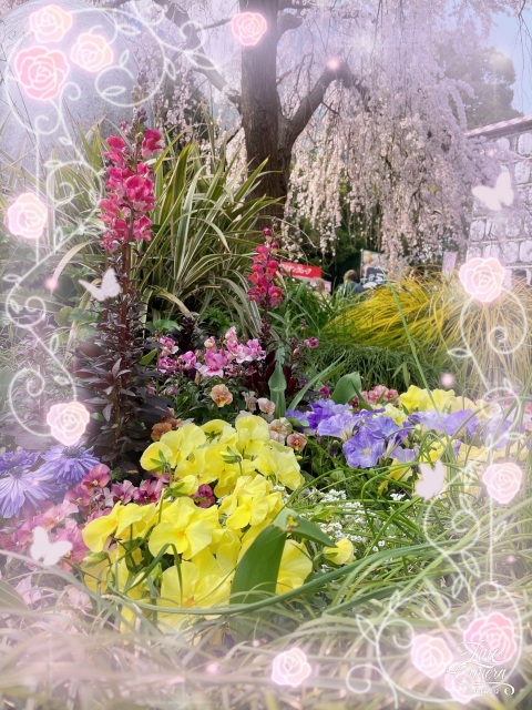 写メ