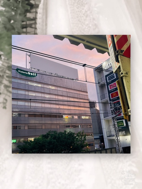 写メ