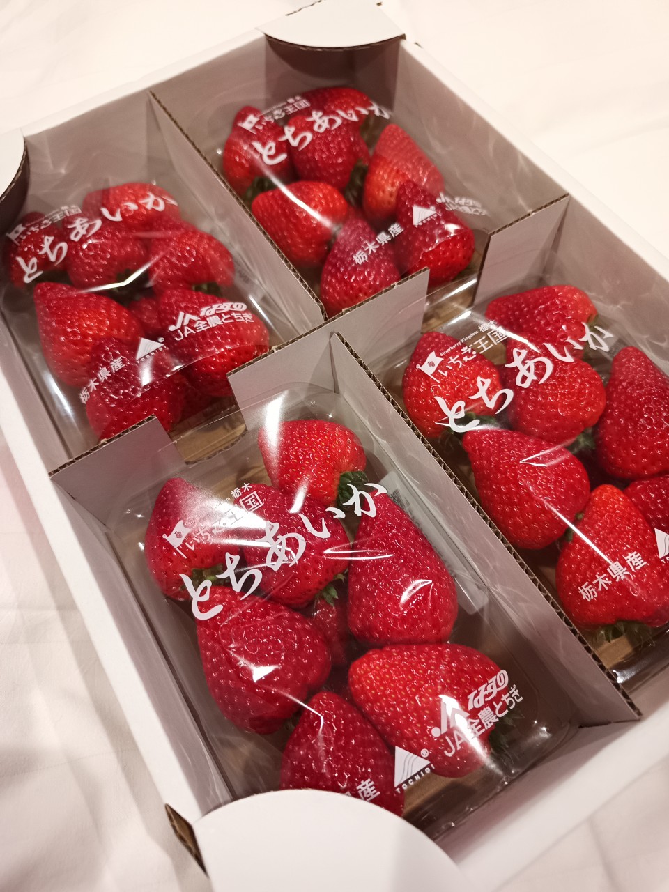 アップロード画像