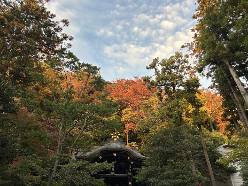 アップロード画像