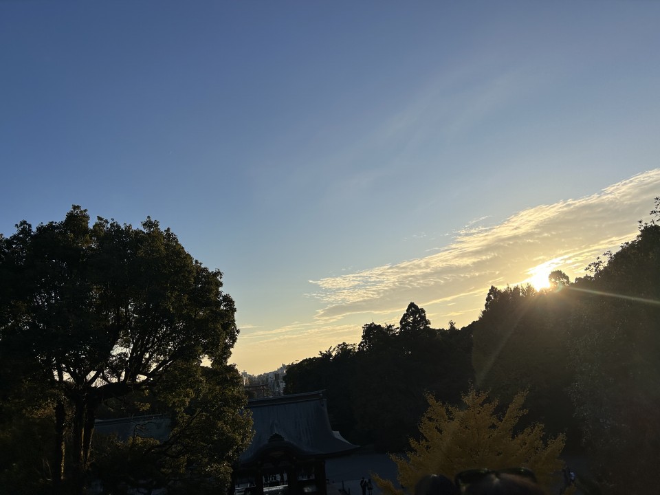 アップロード画像