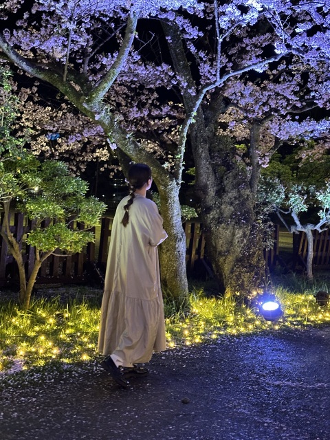 写メ