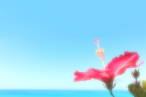 写メ