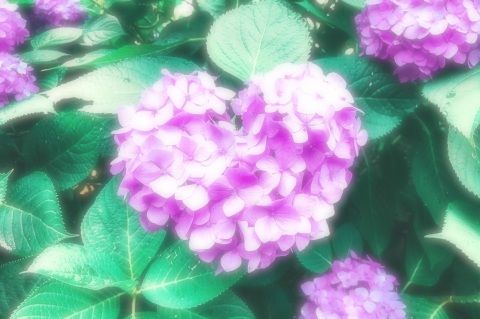 写メ