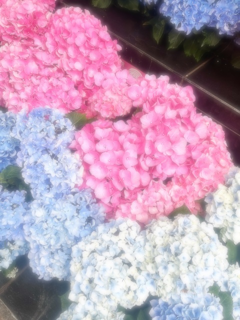 写メ