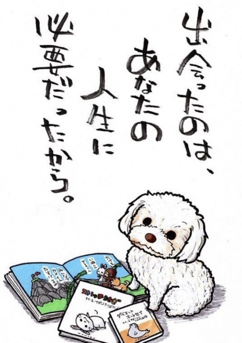 写メ