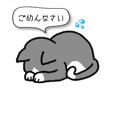 写メ