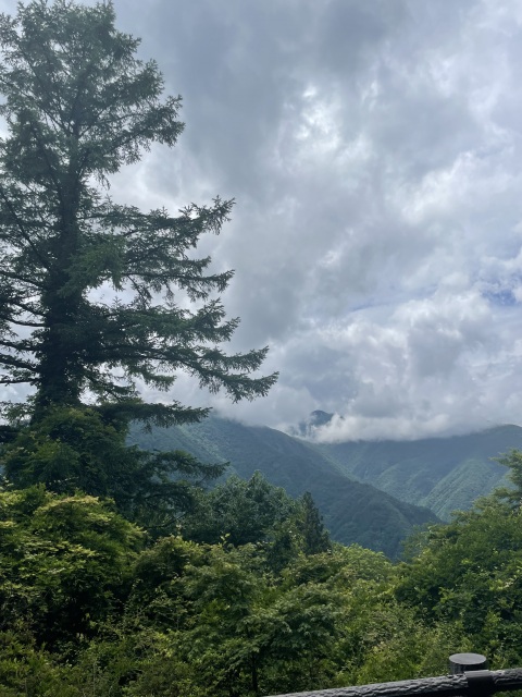 写メ