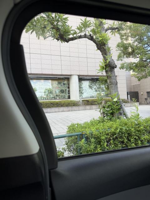 写メ