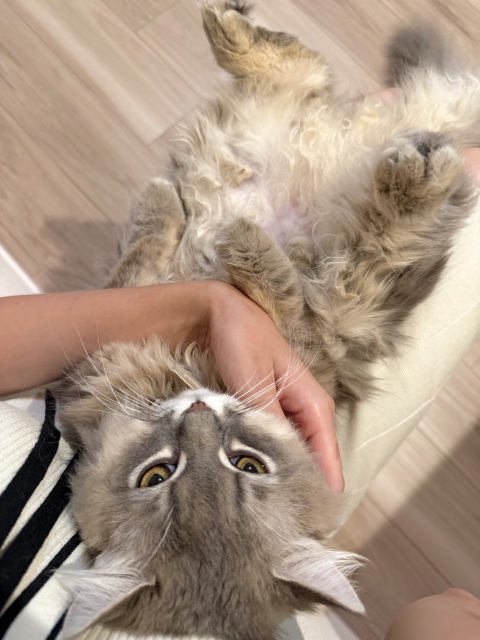 写メ