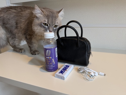 写メ