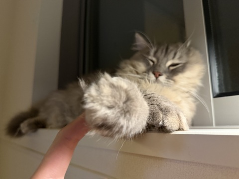 写メ
