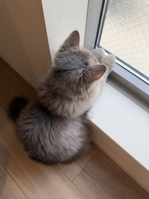 写メ