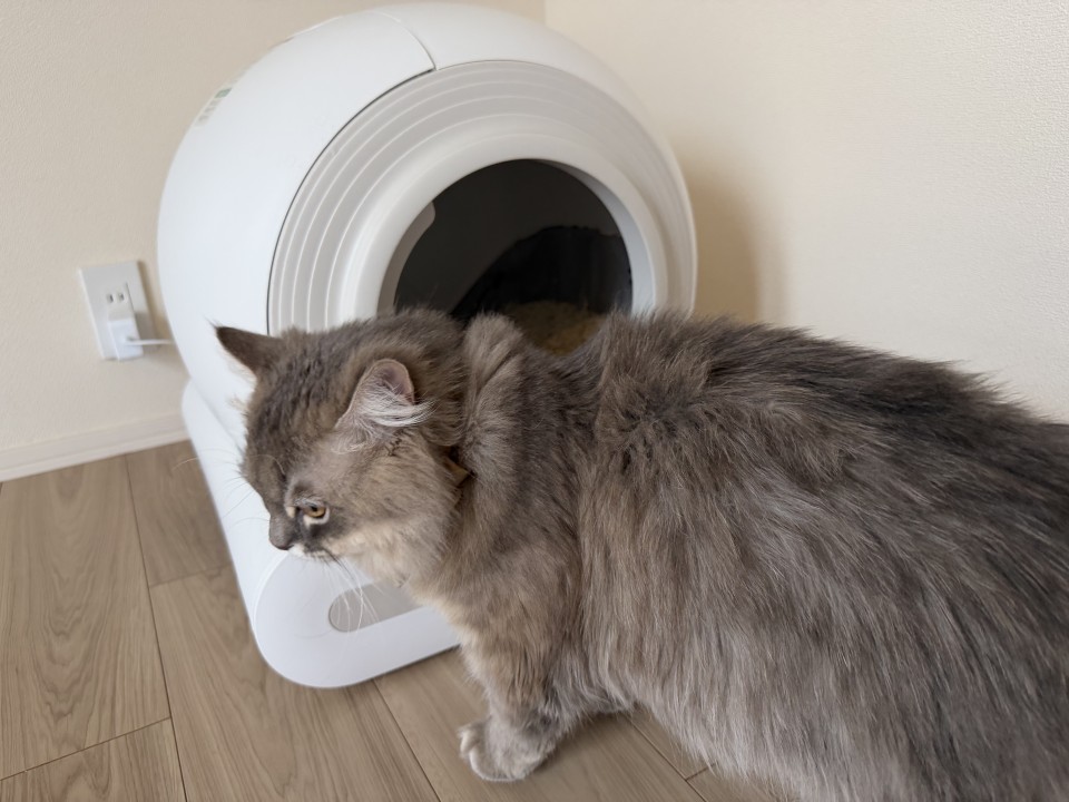 アップロード画像
