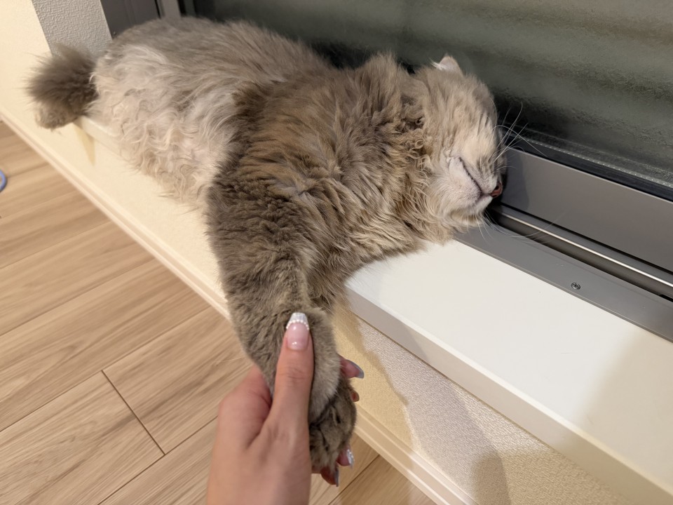アップロード画像