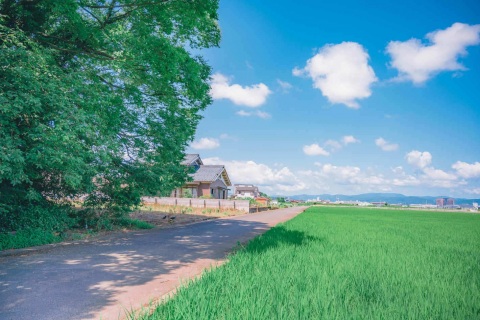 写メ