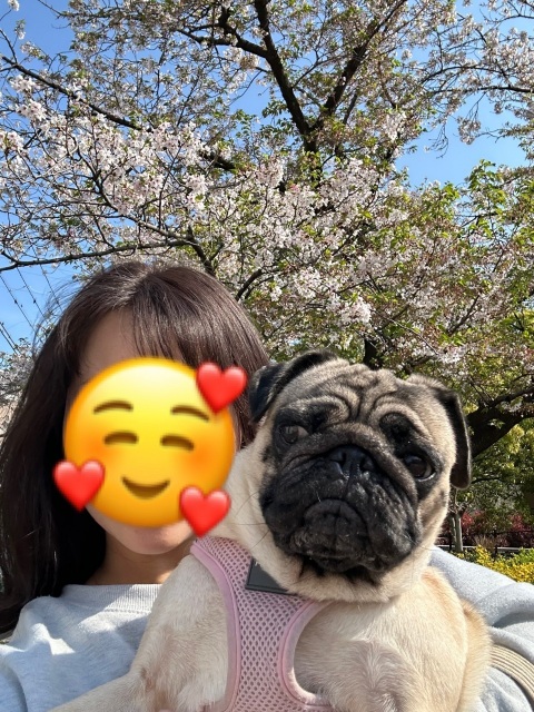 写メ