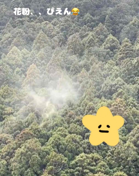 写メ