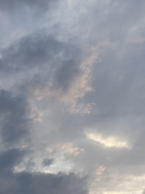 写メ