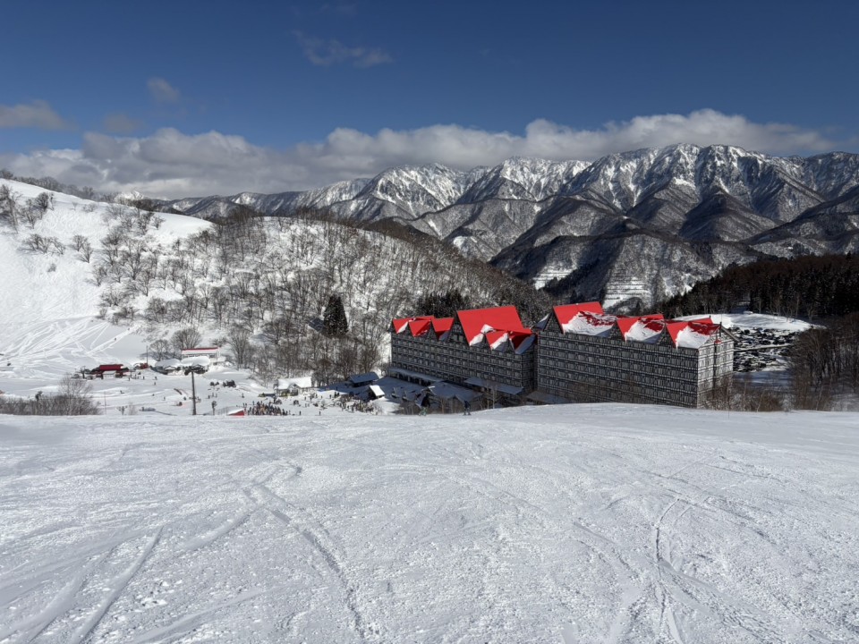 アップロード画像