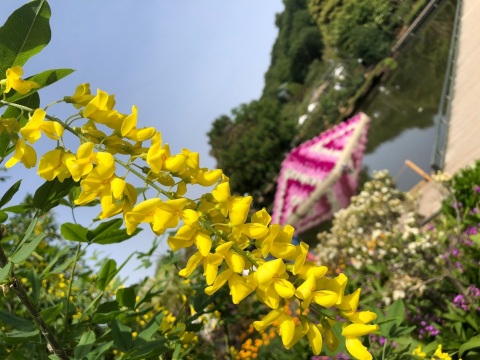 写メ