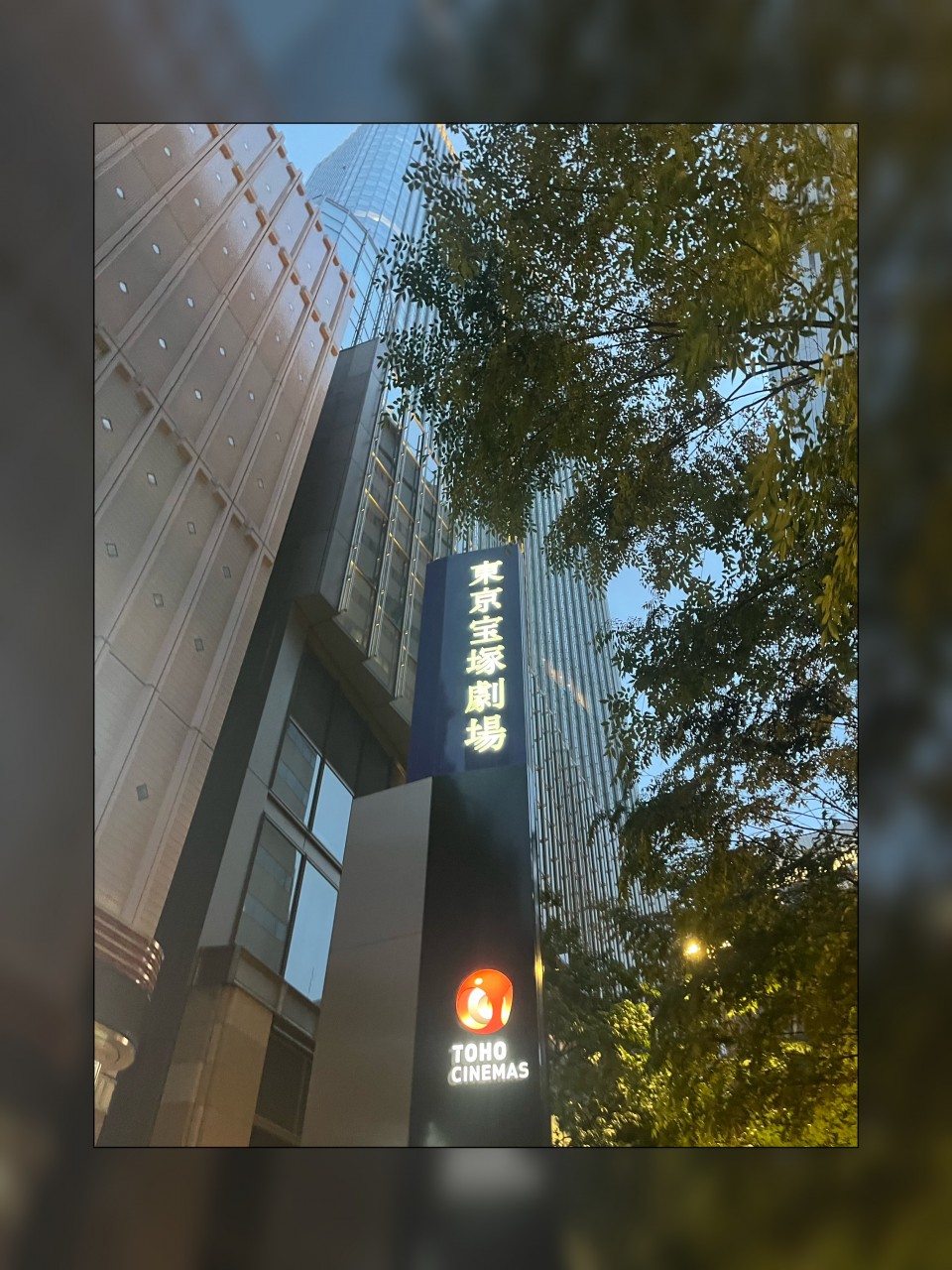 アップロード画像