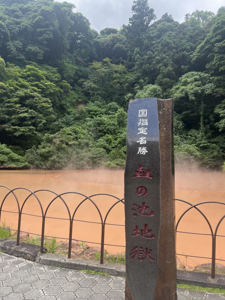 アップロード画像