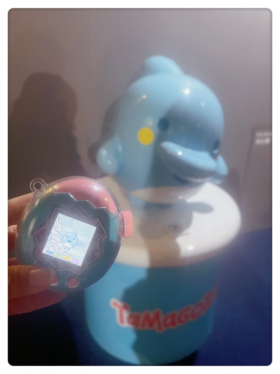 アップロード画像