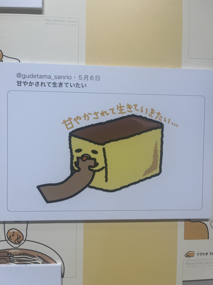 アップロード画像