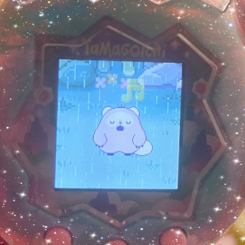 アップロード画像