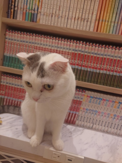 写メ